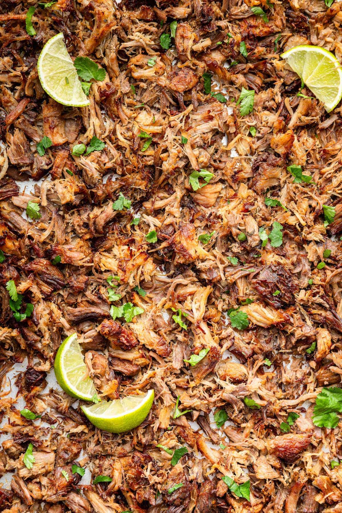 Instant Pot Pork Carnitas