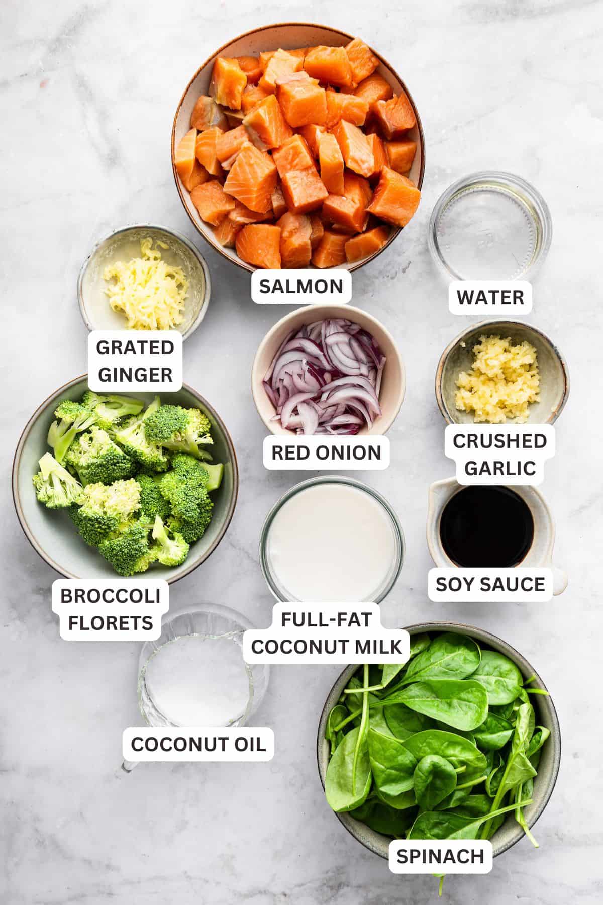 This flavorful Salmon Curry is a 30-minute dinner with creamy coconut sauce, broccoli and spinach. Serve over rice for a filling meal! Ingredients for salmon curry with labels.