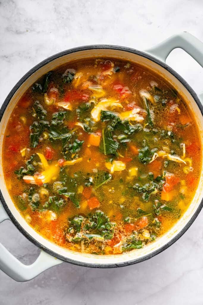 Hearty chicken vegetable soup in Dutch oven.