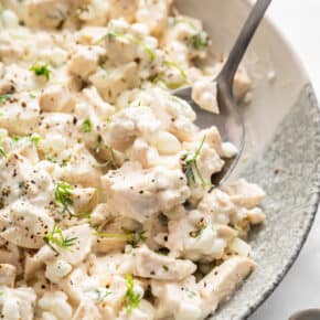Spoonful of cottage cheese chicken salad in bowl.