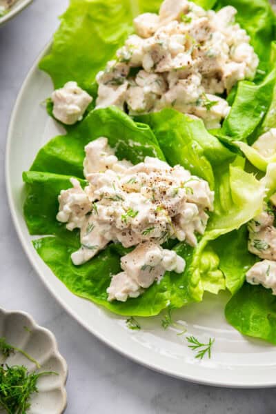 Cottage cheese chicken salad served on lettuce leaves.