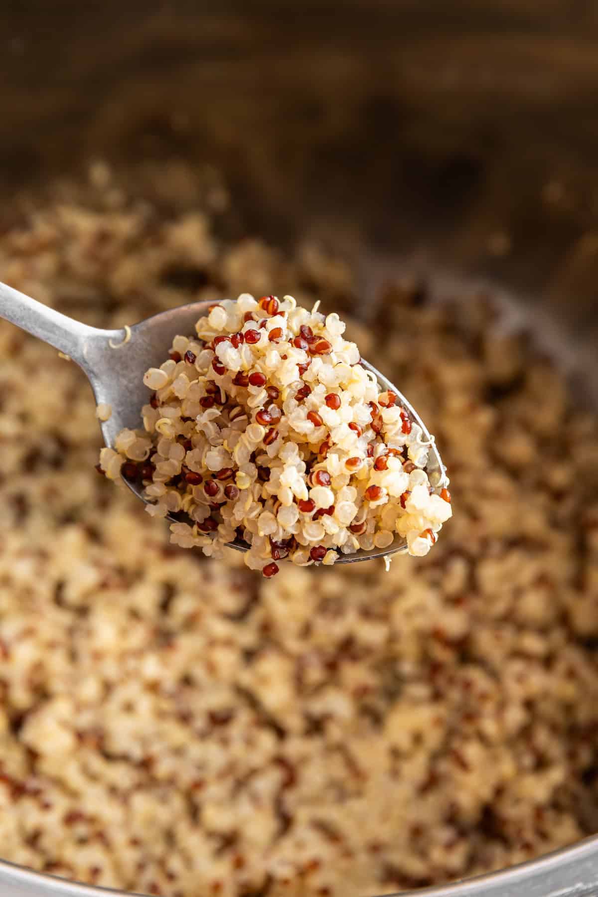A spoon listing fluffy Instant Pot quinoa up to the camera.