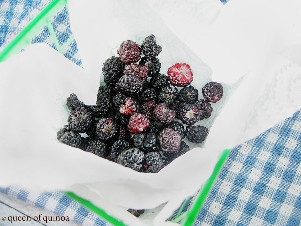 Black Raspberry Cheesecake | Gluten-free & Vegan | Queen of Quinoa