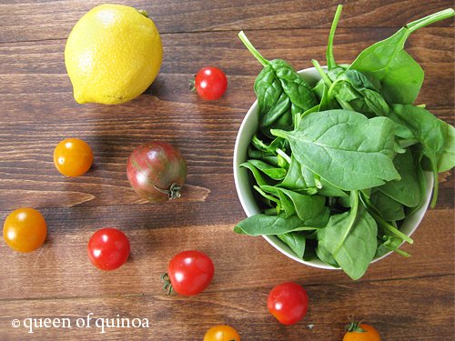 Smoked Salmon Pasta Salad Ingredients | Gluten-Free | Queen of Quinoa